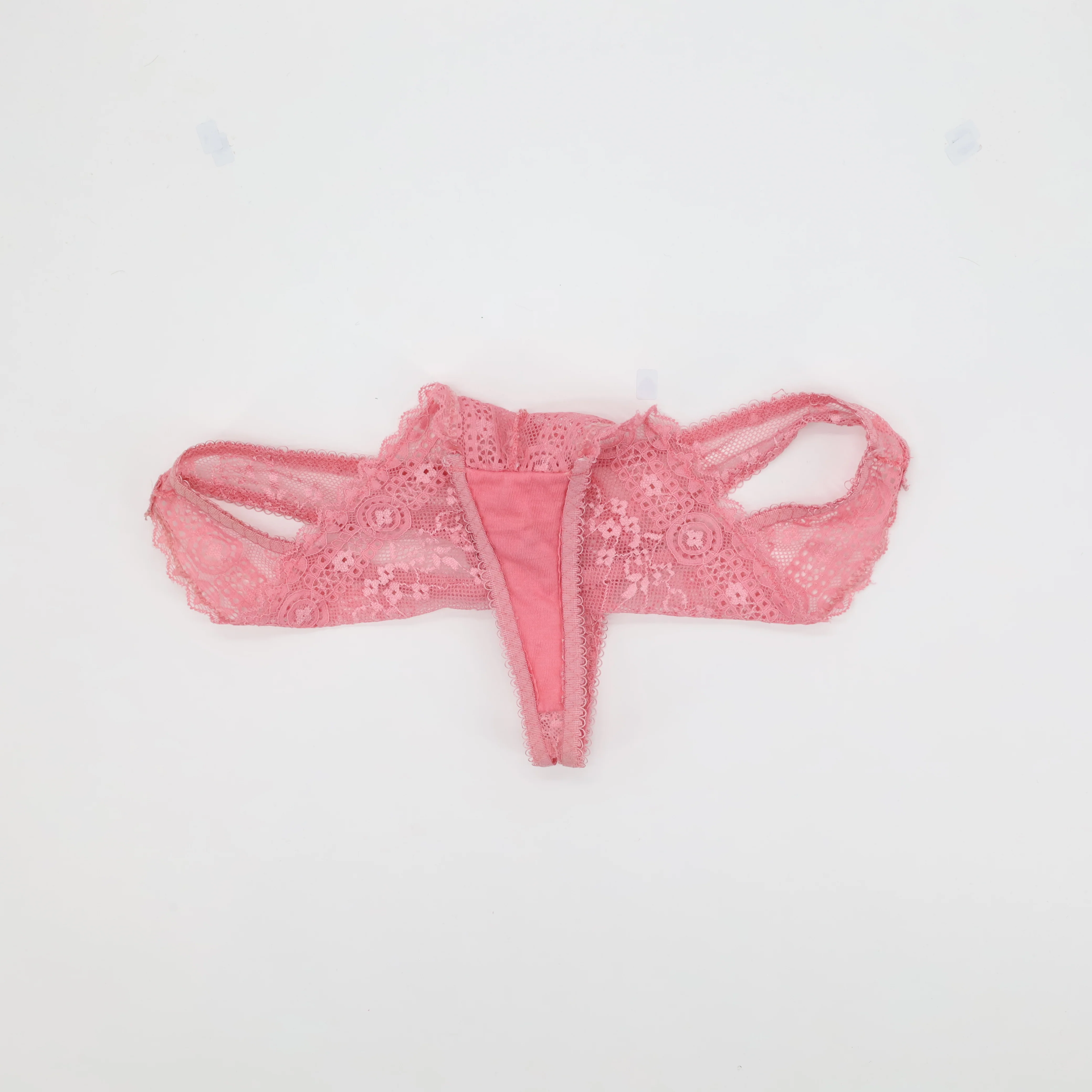 String Rose - Image 3
